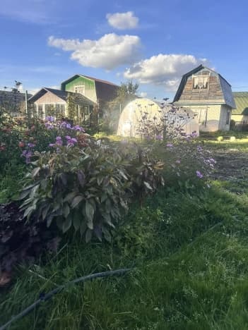 Купить земельный участок в Кпе Русской Деревне в Богородском Муниципальном Округе в Нижегородской области. Вариант № 2370842, 1, площадь - квм, цена 900000 рублей