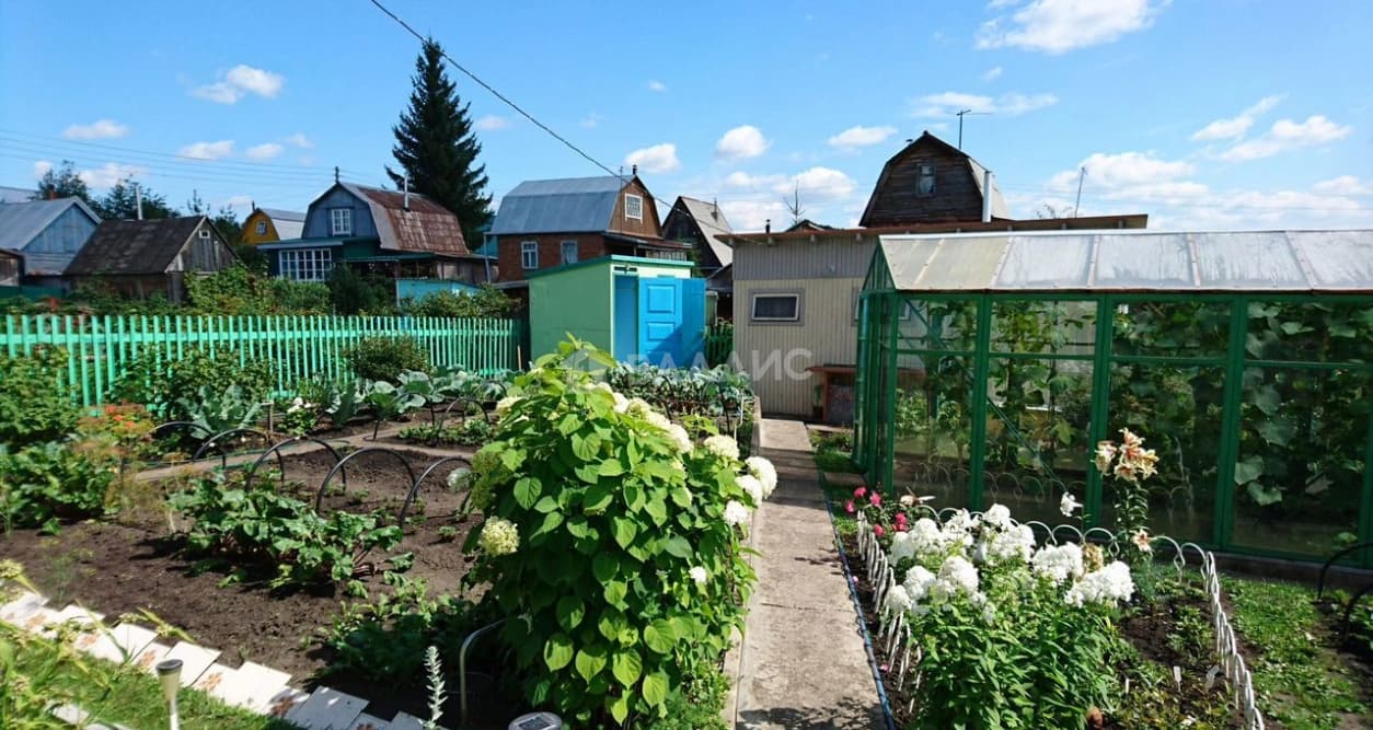Photo 41