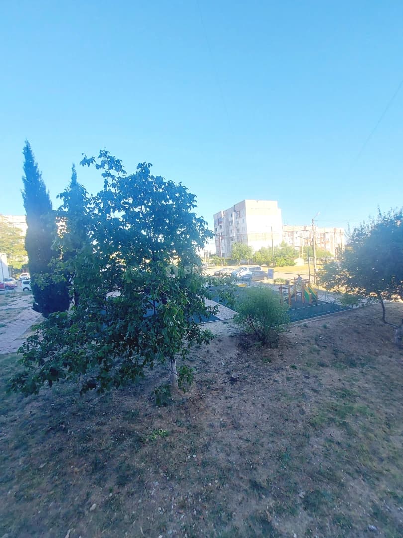 Photo 22