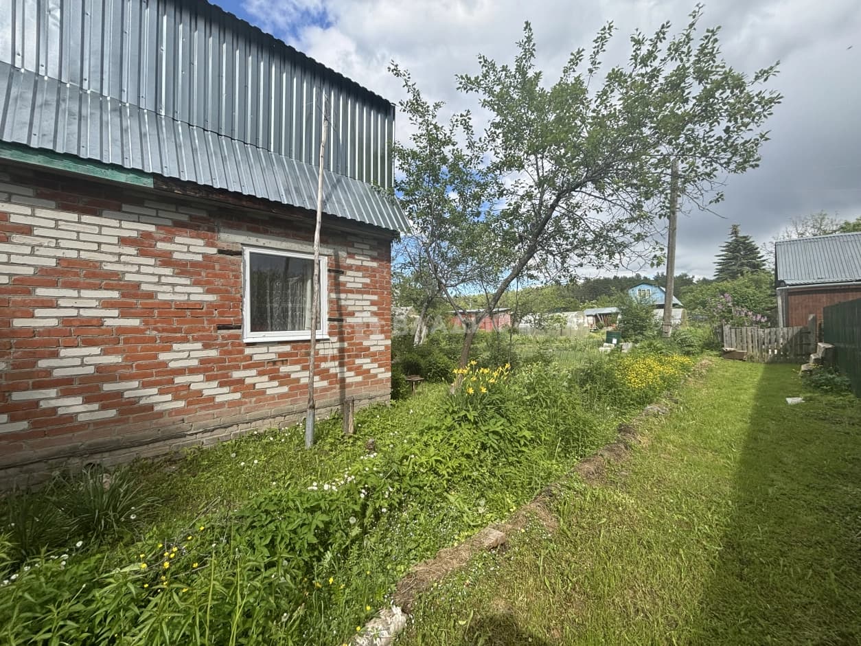 Photo 7