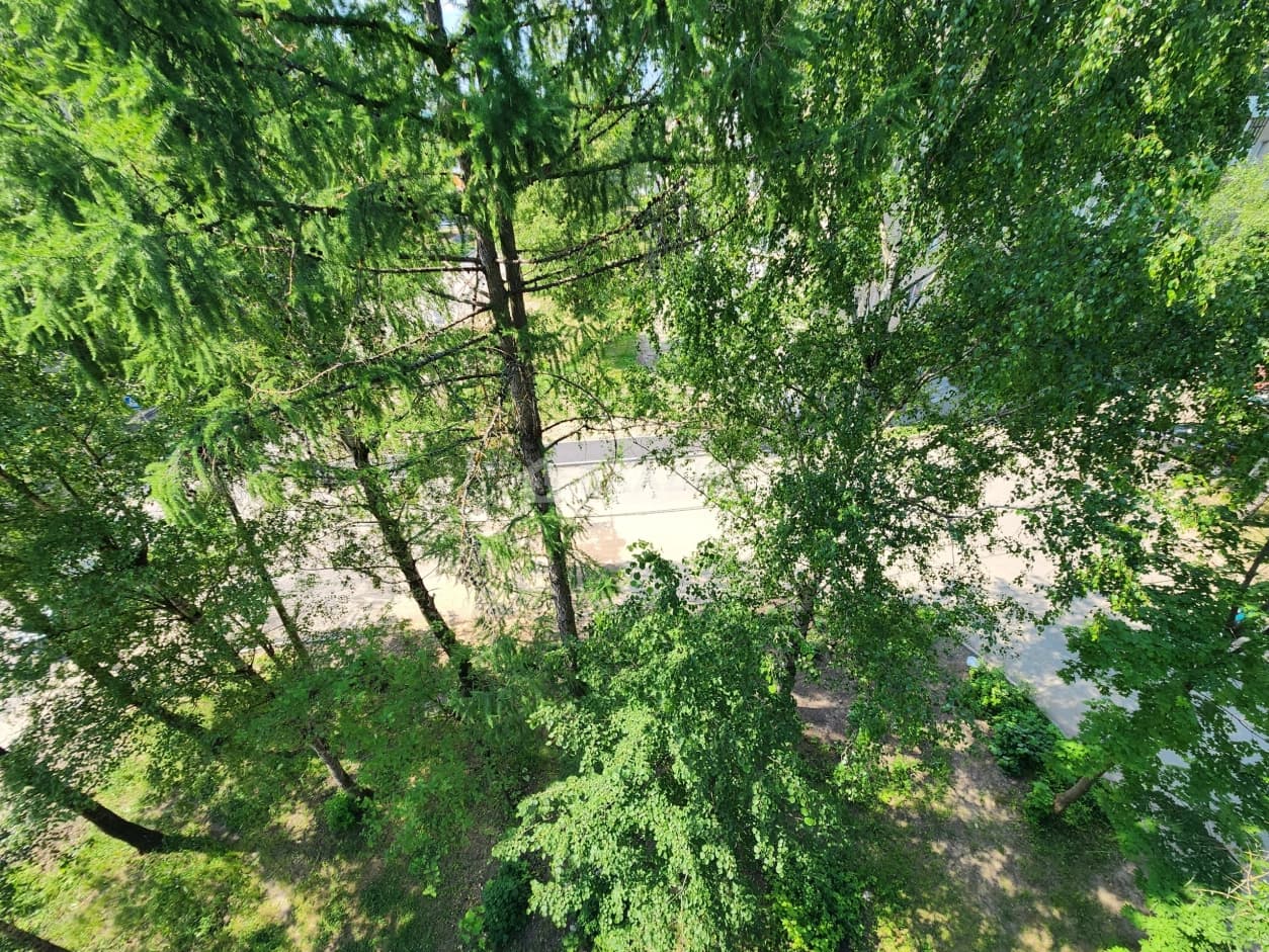 Photo 26