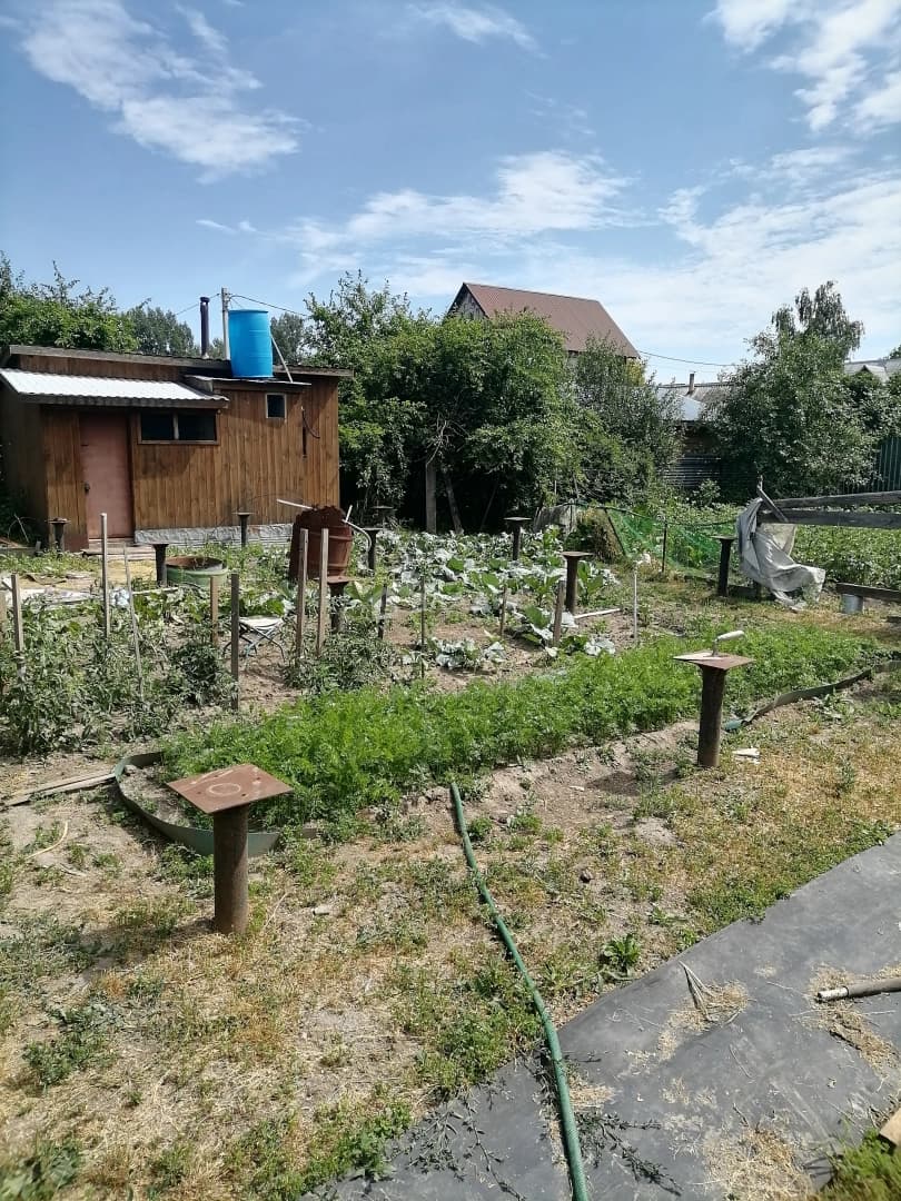 Photo 27