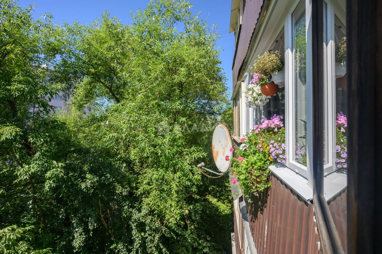 Photo 42