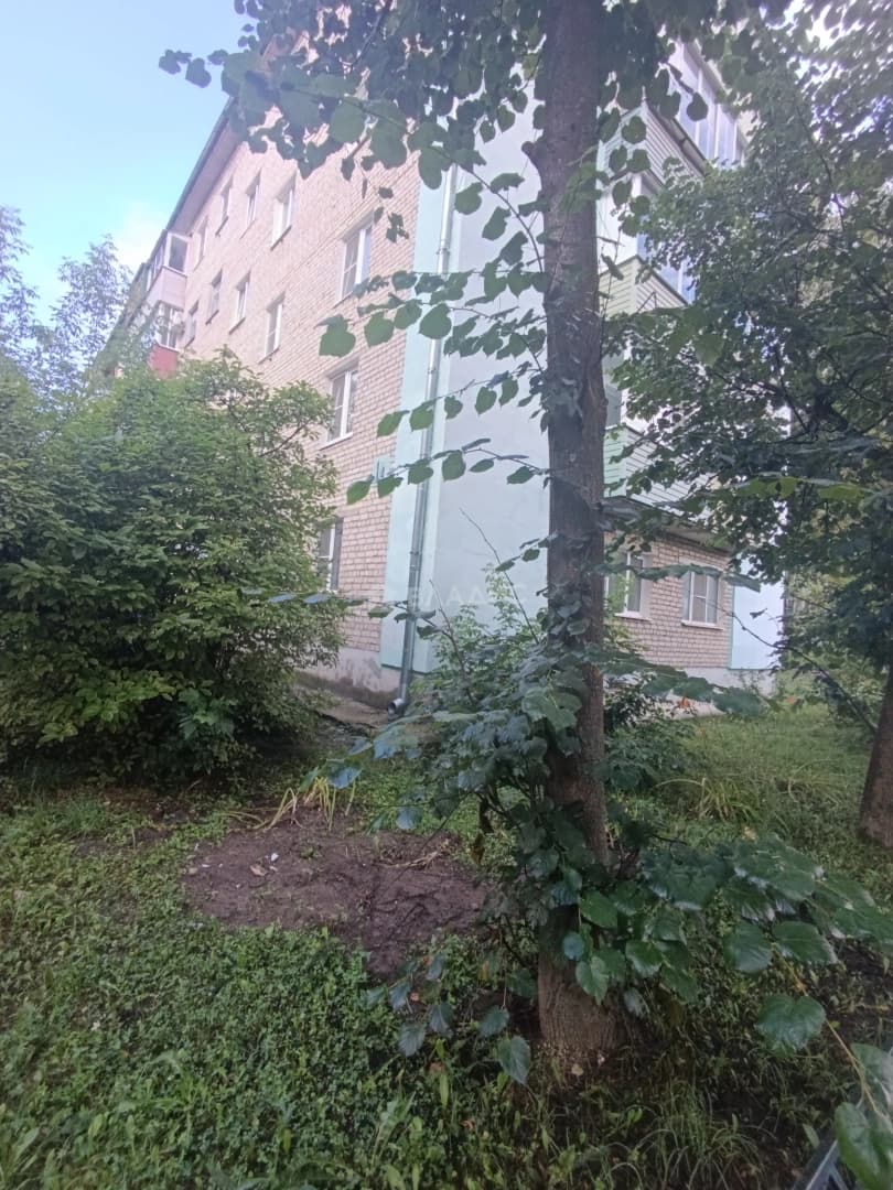 Photo 24