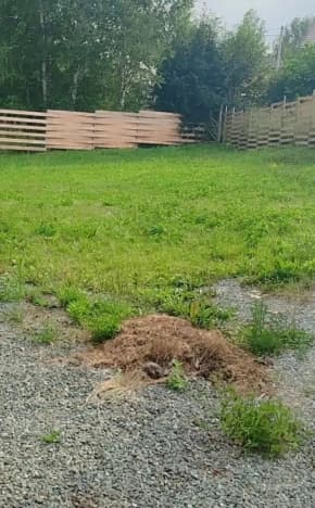 Купить земельный участок в ИЖС в Новосибирске. Вариант № 1403953, 1, площадь - квм, цена 1700000 рублей