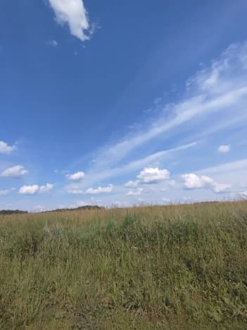 Купить земельный участок под сельское хозяйство в Новосибирской области. Вариант № 1925846, 1, площадь - квм, цена 1750000 рублей
