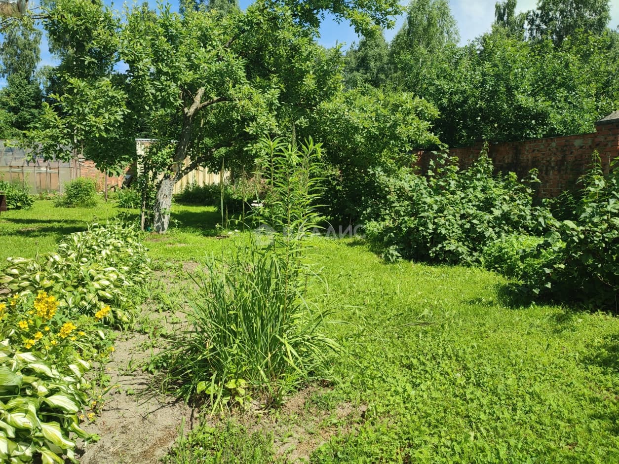 Photo 31