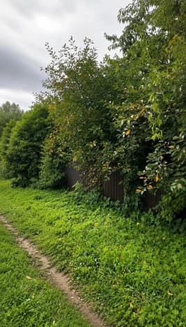 Купить земельный участок в селе Воскресенская слободка в Суздальском районе в Владимирской области. Вариант № 2307785, 1, площадь - квм, цена 1300000 рублей