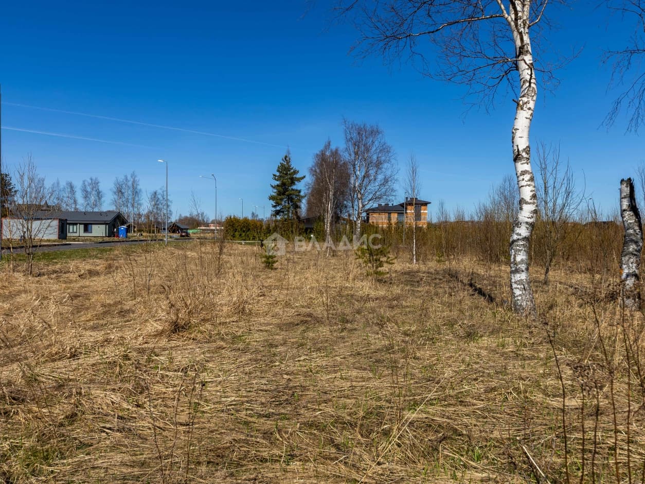 Photo 45