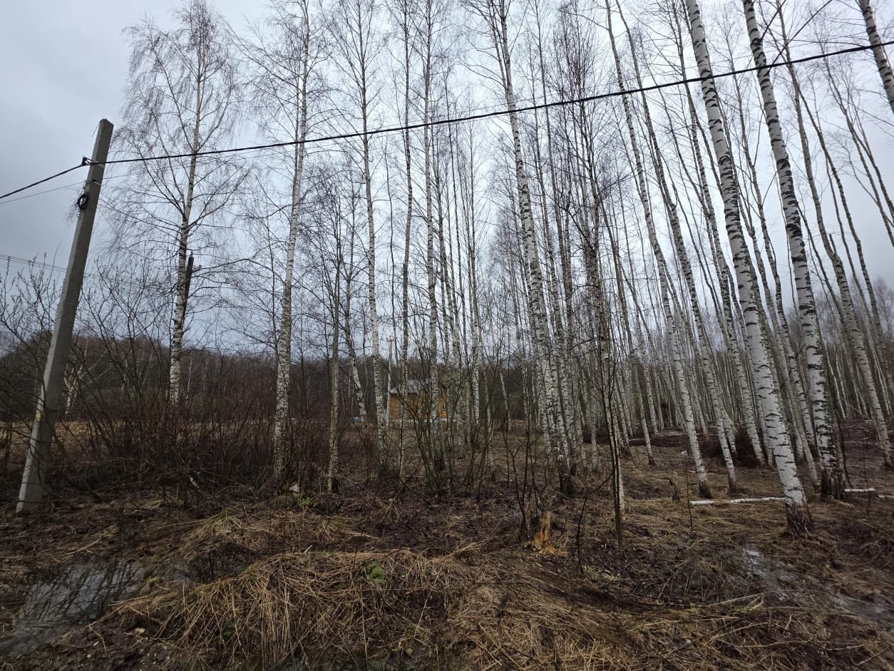 Photo 5