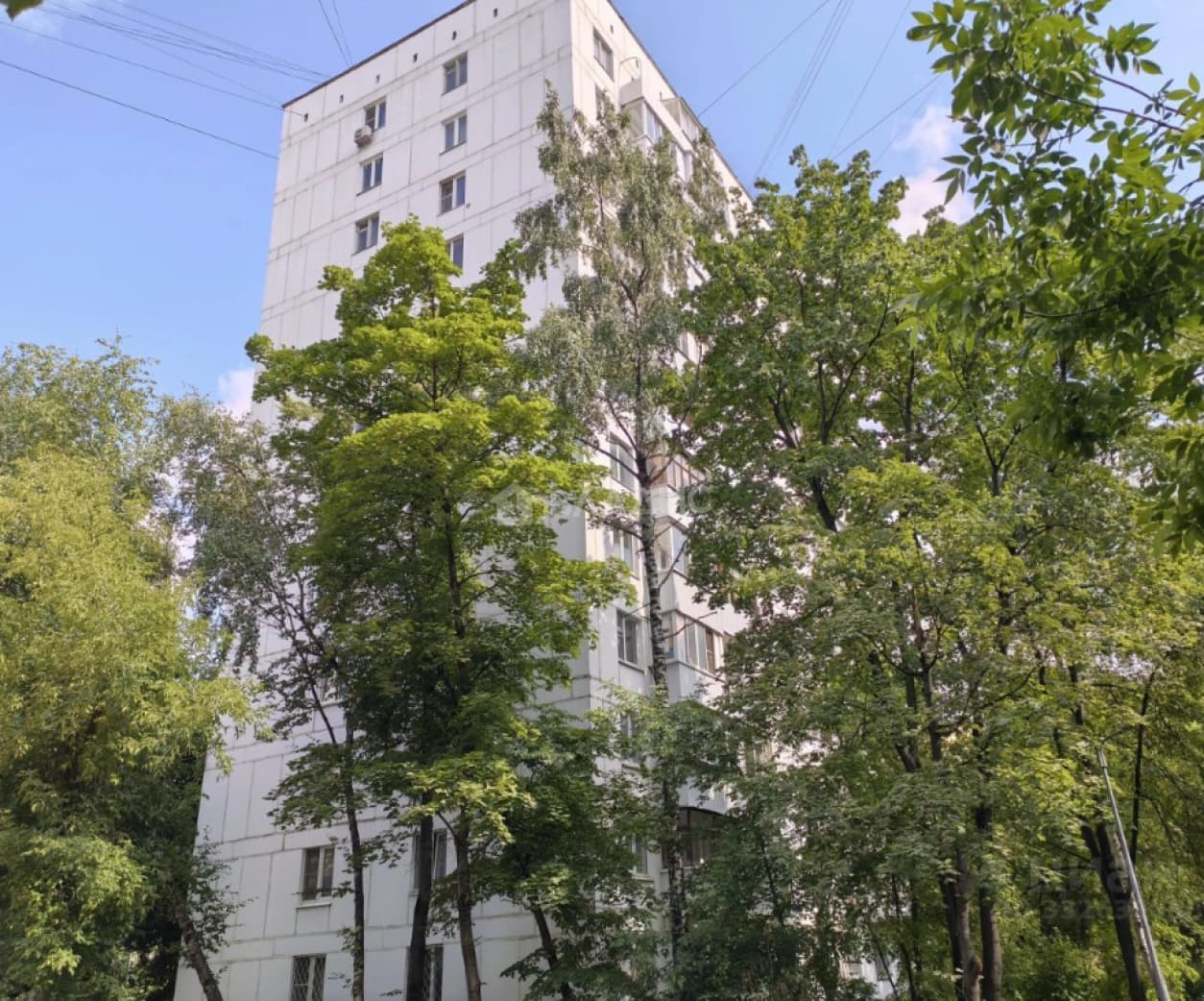 Photo 8