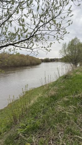Купить земельный участок в Деревне Яши Кече в Высокогорском районе в Республике Татарстан (татарстан). Вариант № 2061298, 0, площадь - квм, цена 2159000 рублей