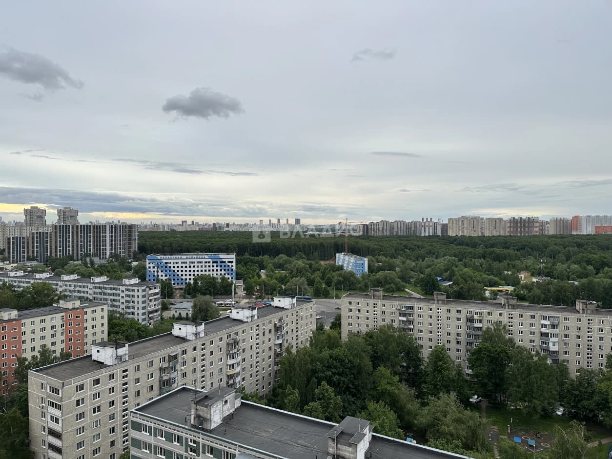 Photo 44