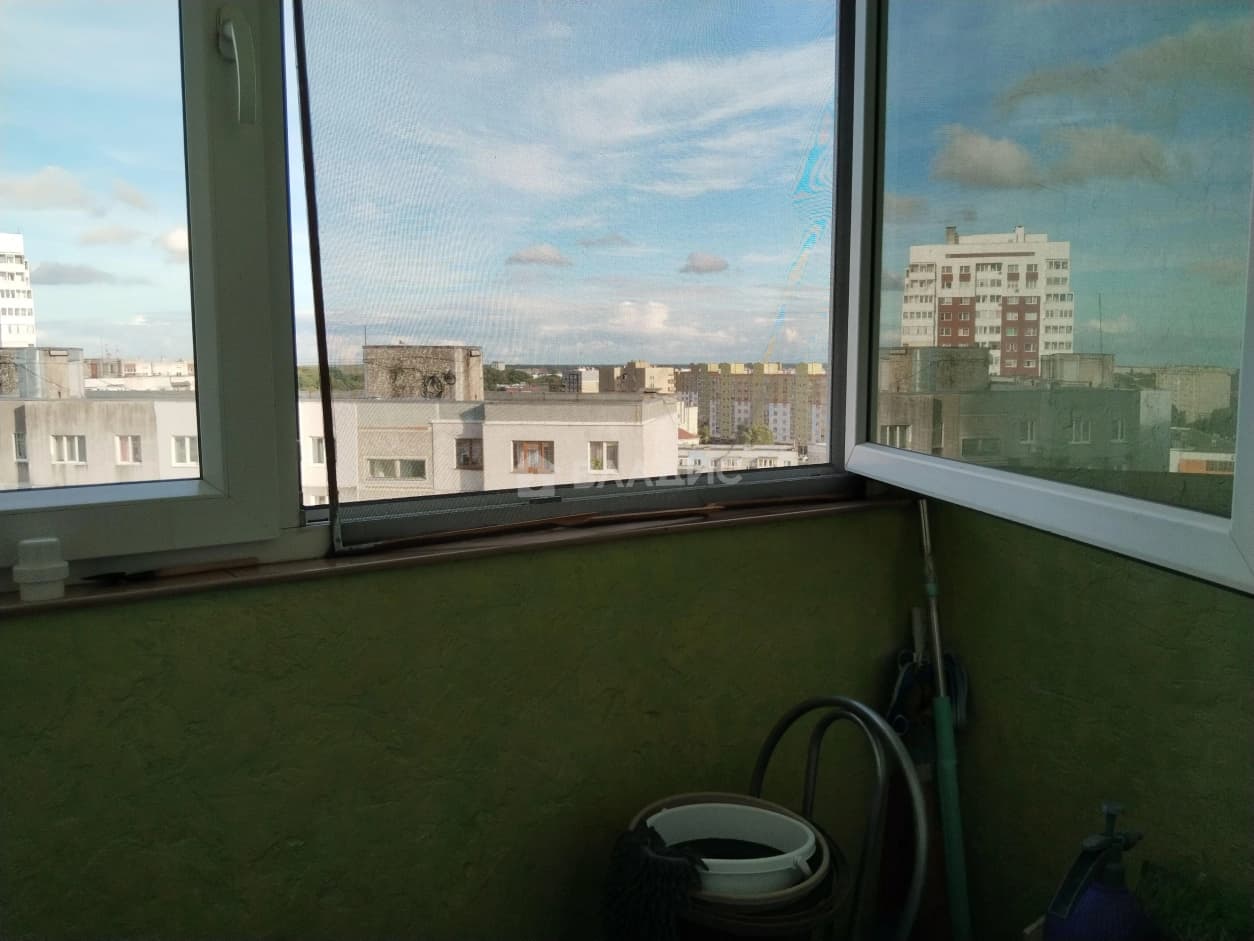 Photo 11