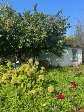 Купить таунхаус в Республике Татарстан (татарстан). Вариант № 1794083, 1, площадь - квм, цена 5700000 рублей
