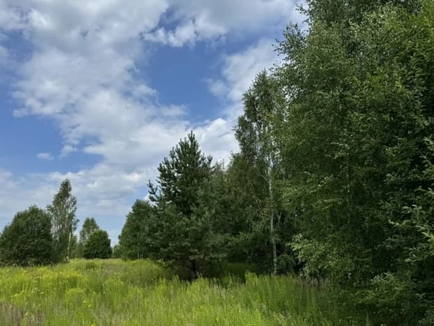 Купить земельный участок в Муниципальном Округе Сокольском в Нижегородской области. Вариант № 2158587, 1, площадь - квм, цена 470000 рублей