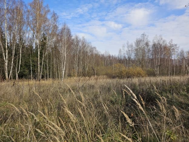 Купить земельный участок в Деревне Клемёнове в Муниципальном Округе Егорьевске в Московской области. Вариант № 2384006, 1, площадь - квм, цена 1750000 рублей