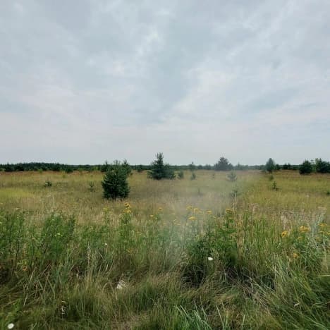 Купить земельный участок в Липецкой области. Вариант № 2258434, 1, площадь - квм, цена 350000 рублей