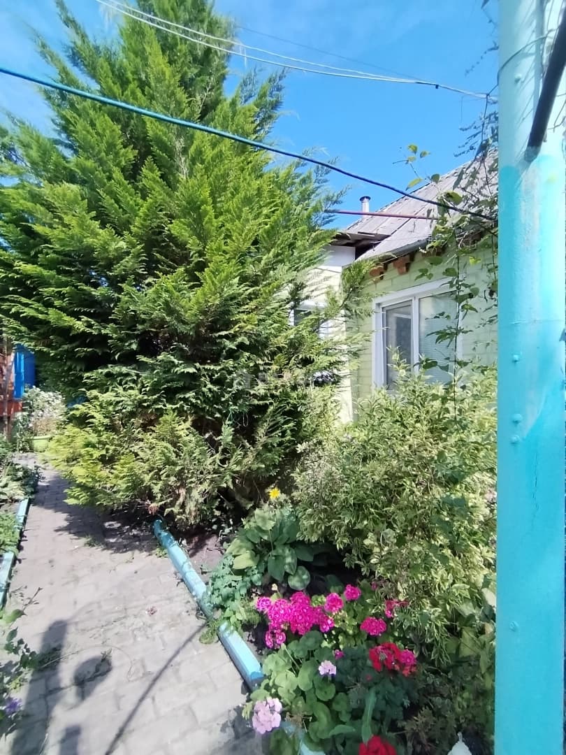 Photo 39