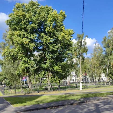 Купить квартиру на улице Лесная в Электростали. Вариант № 2390013, 0, площадь - квм, цена 6550000 рублей