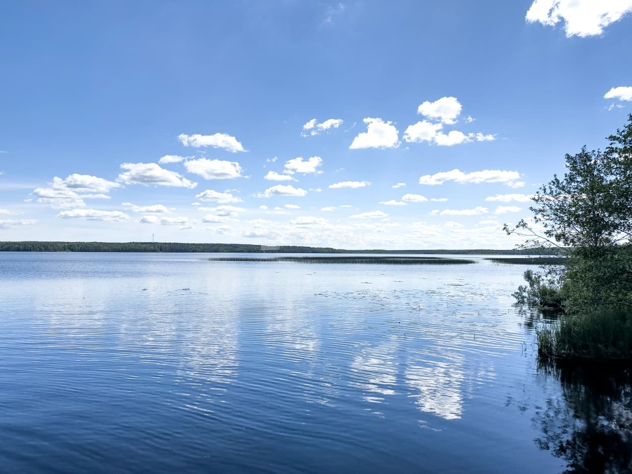 Photo 45