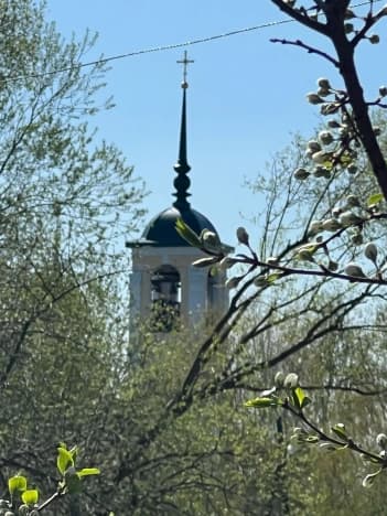 Купить земельный участок в Суздальском районе в Владимирской области. Вариант № 1553129, 1, площадь - квм, цена 1450000 рублей