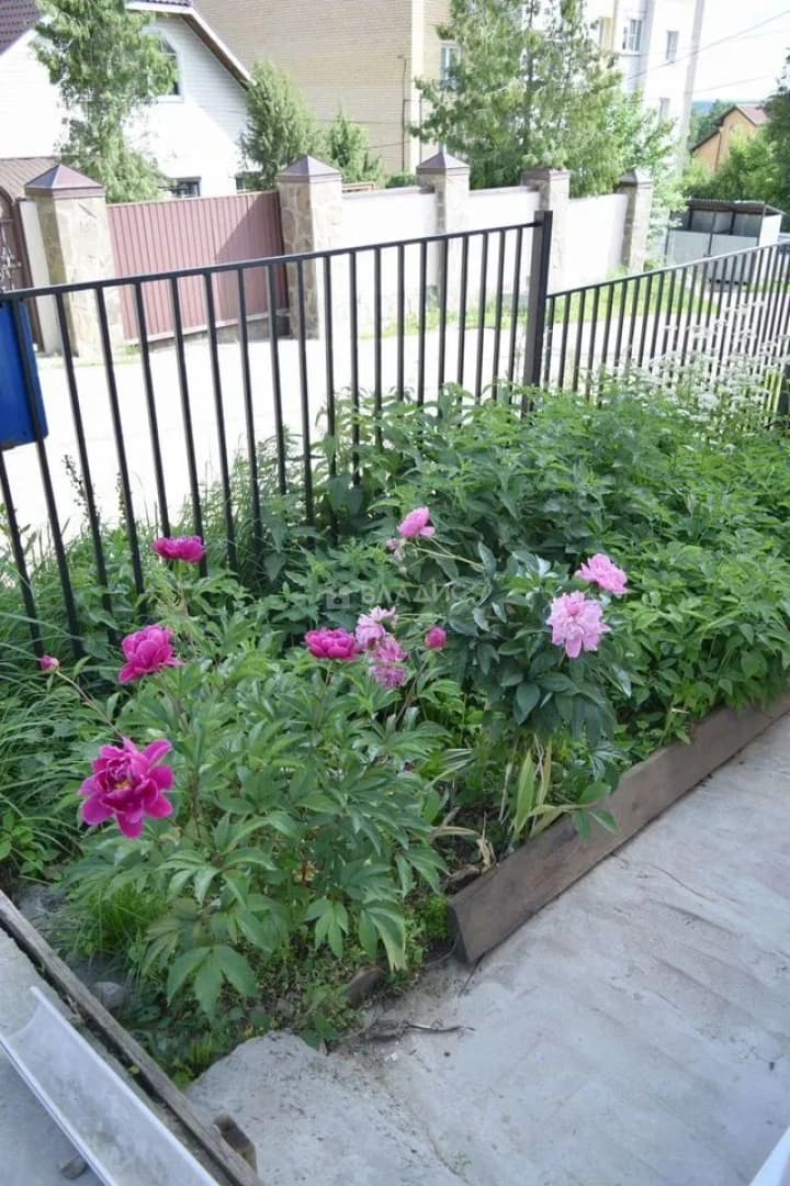 Photo 37