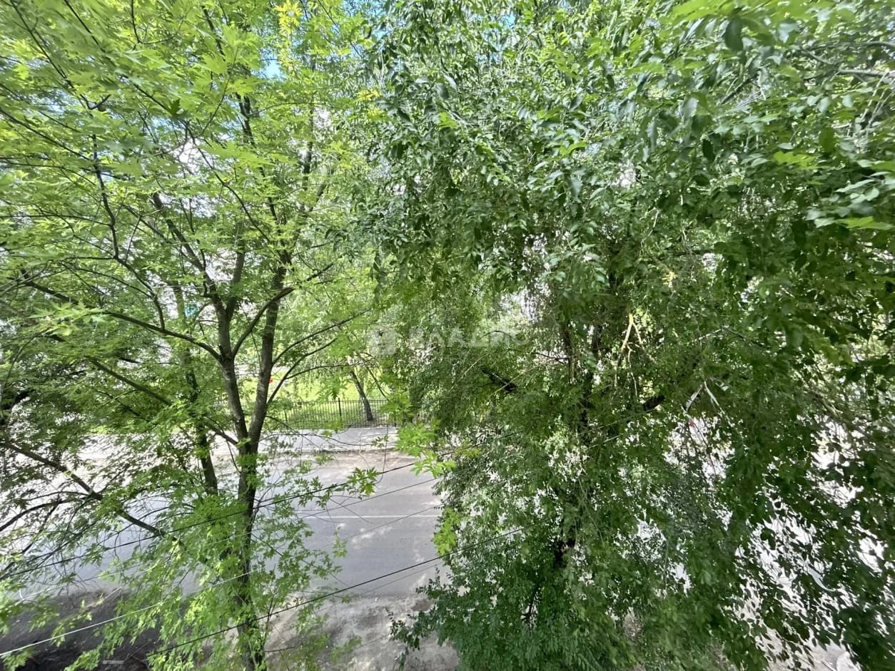 Photo 28