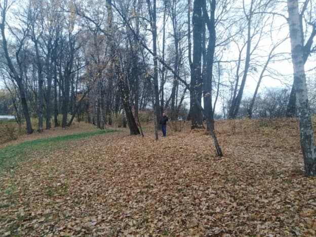 Купить земельный участок в ИЖС в Ленинградской области. Вариант № 2137026, 1, площадь - квм, цена 1250000 рублей