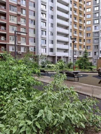 Купить двухкомнатную квартиру на улице Молодцова в Москве. Вариант № 2161367, 0, площадь - квм, цена 8000000 рублей