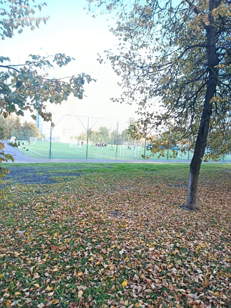 Photo 48