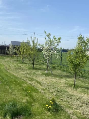 Купить дом в селе Ходынино в Рыбновском Муниципальном Округе на улице Центральная , село Ходынино в Рязанской области. Вариант № 2133038, 1, площадь - квм, цена 12900000 рублей