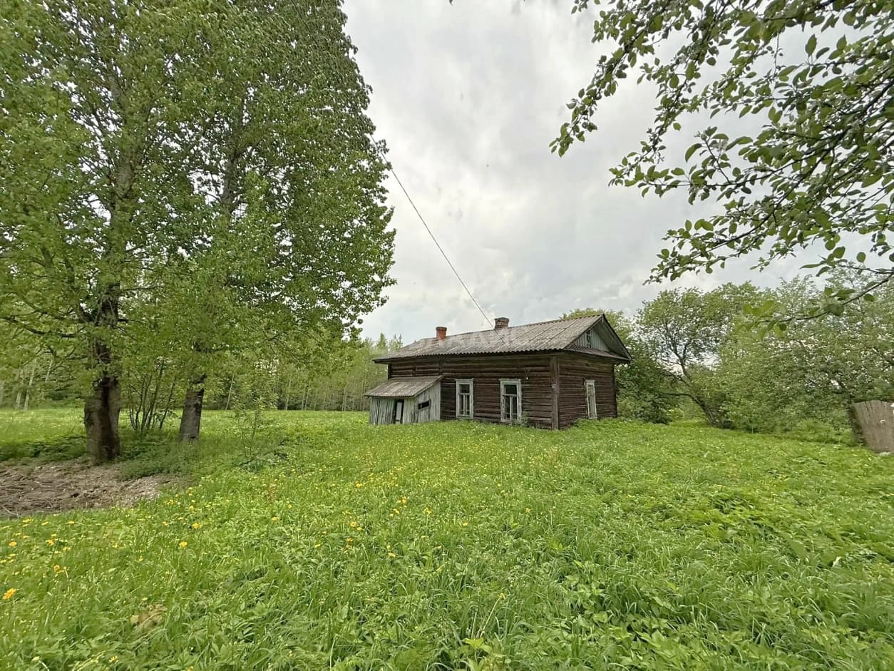 Photo 3