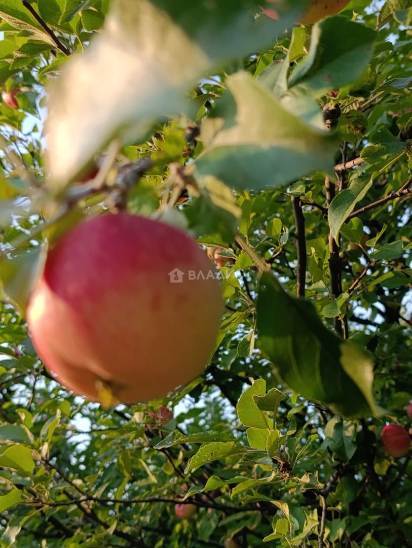 Photo 30