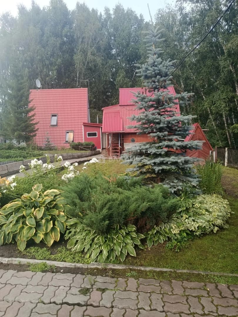 Photo 45
