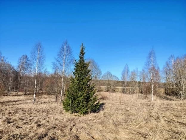 Купить земельный участок в Киришском районе в Ленинградской области. Вариант № 2211992, 0, площадь - квм, цена 2400000 рублей