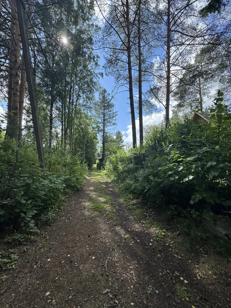 Photo 20