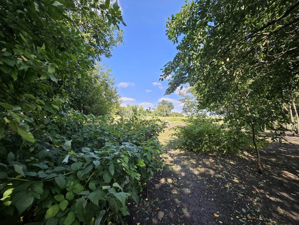 Photo 35