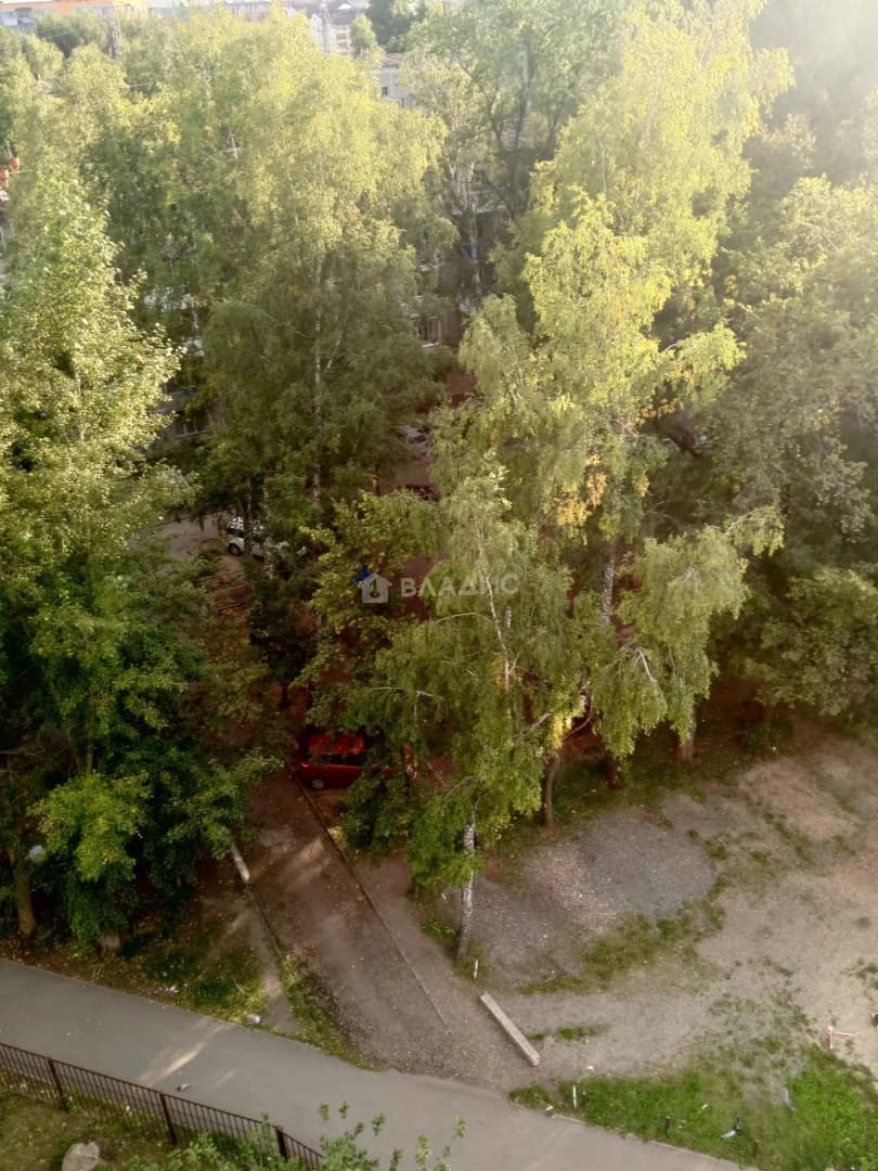 Photo 24