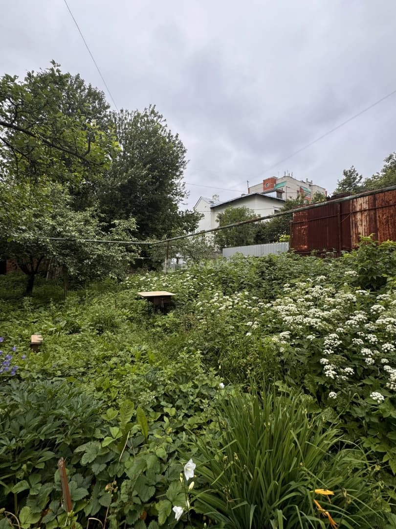 Photo 27