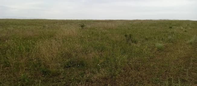 Купить земельный участок в ЛПХ в Республике Крым. Вариант № 2224271, 0, площадь - квм, цена 850000 рублей