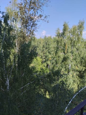 Купить земельный участок в Деревне Палаустном в Варнавинском Муниципальном Округе в Нижегородской области. Вариант № 2082136, 1, площадь - квм, цена 260000 рублей