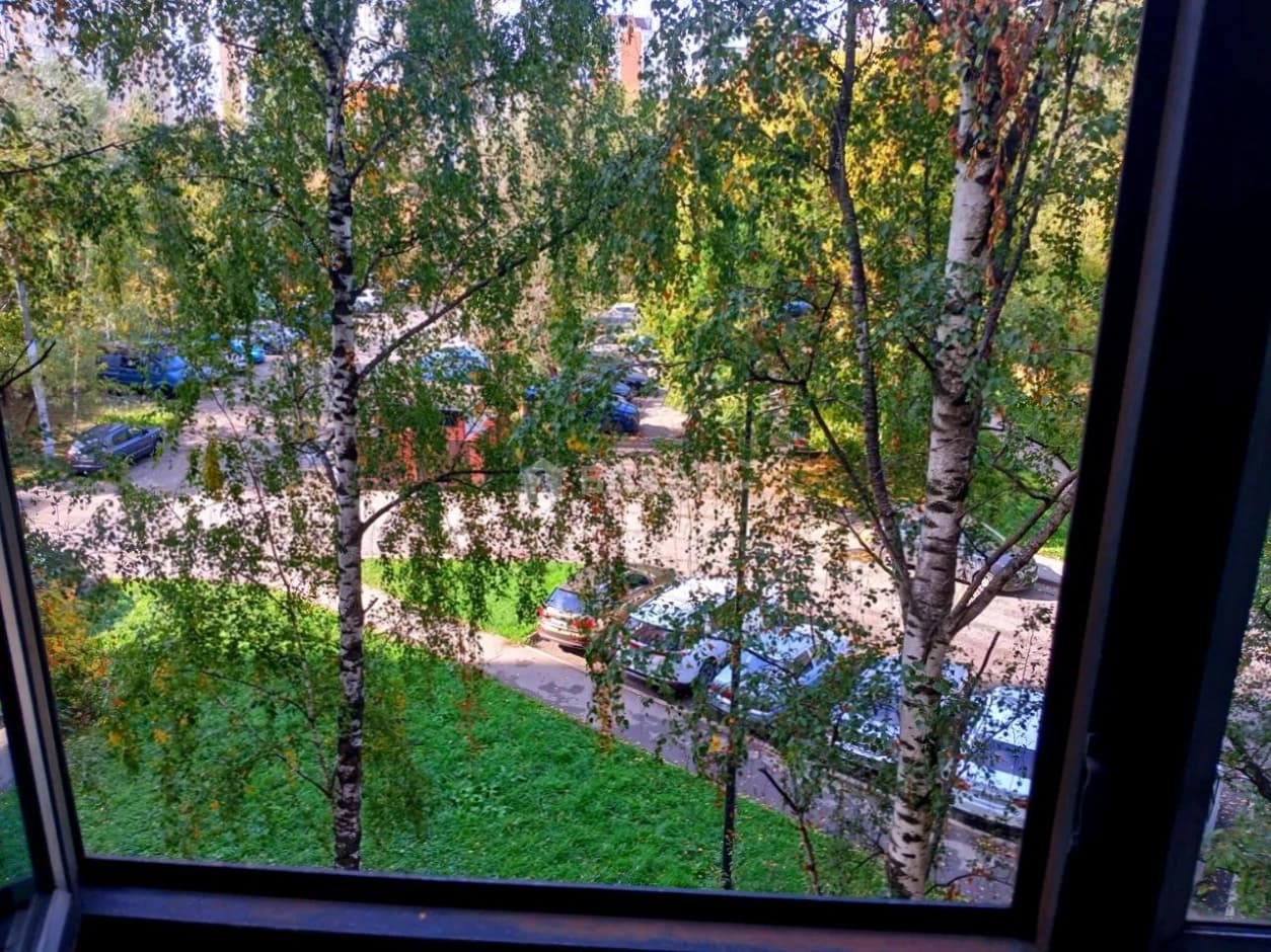 Photo 9