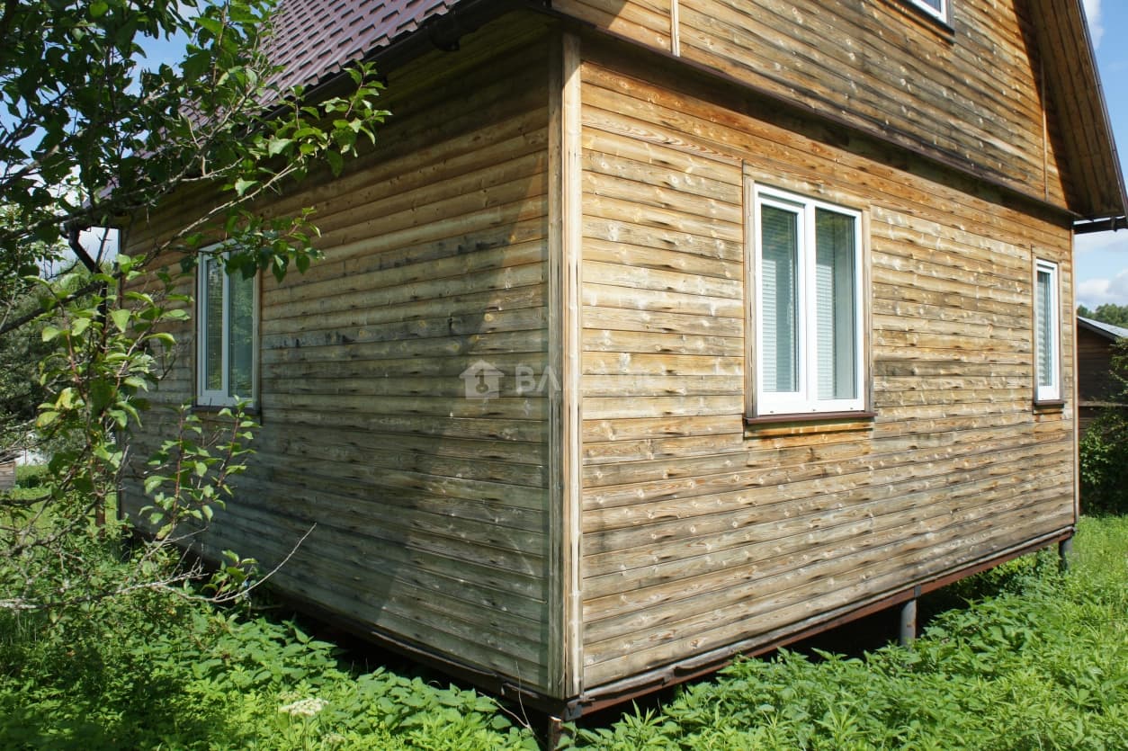Photo 5