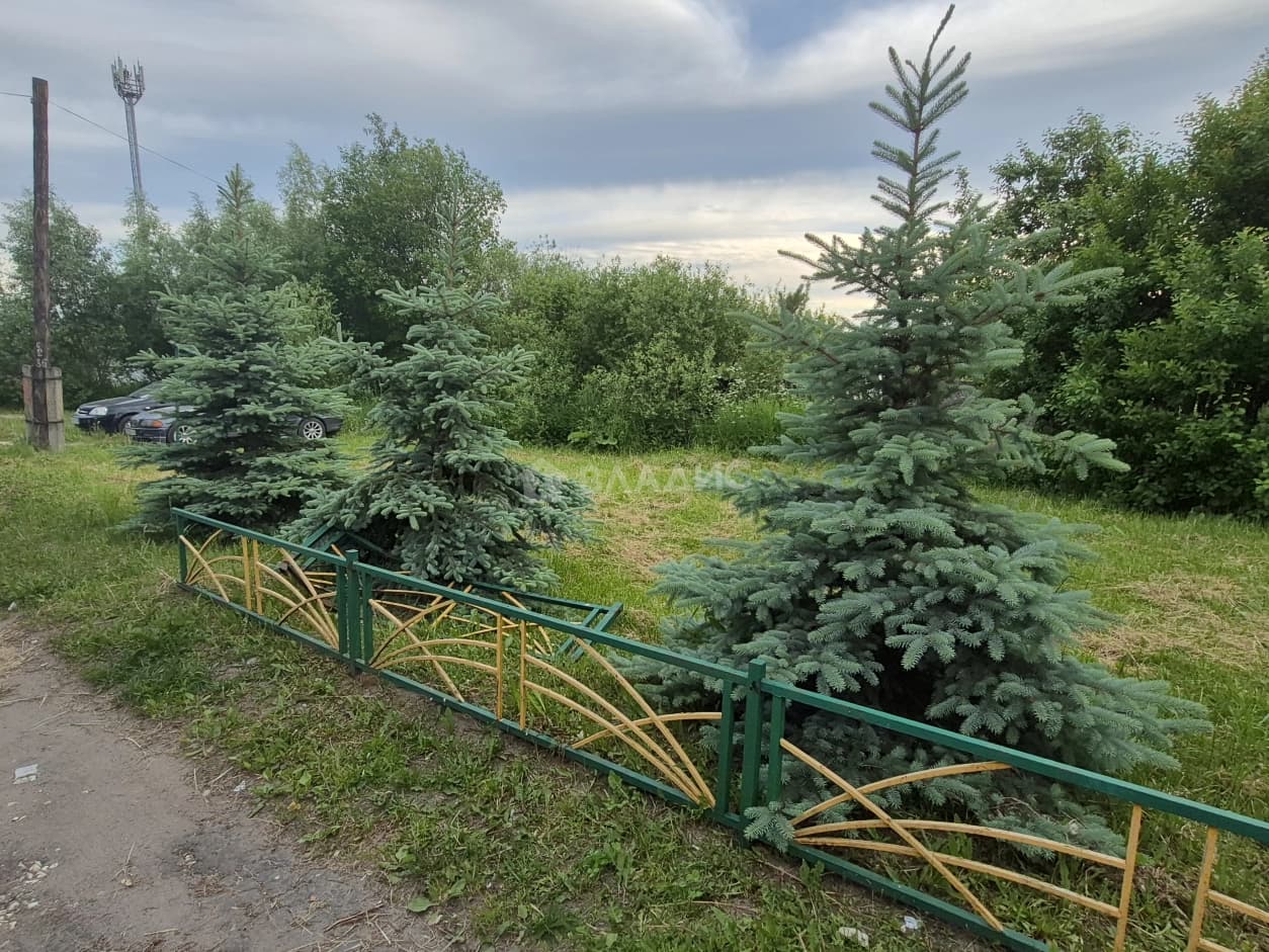 Photo 28