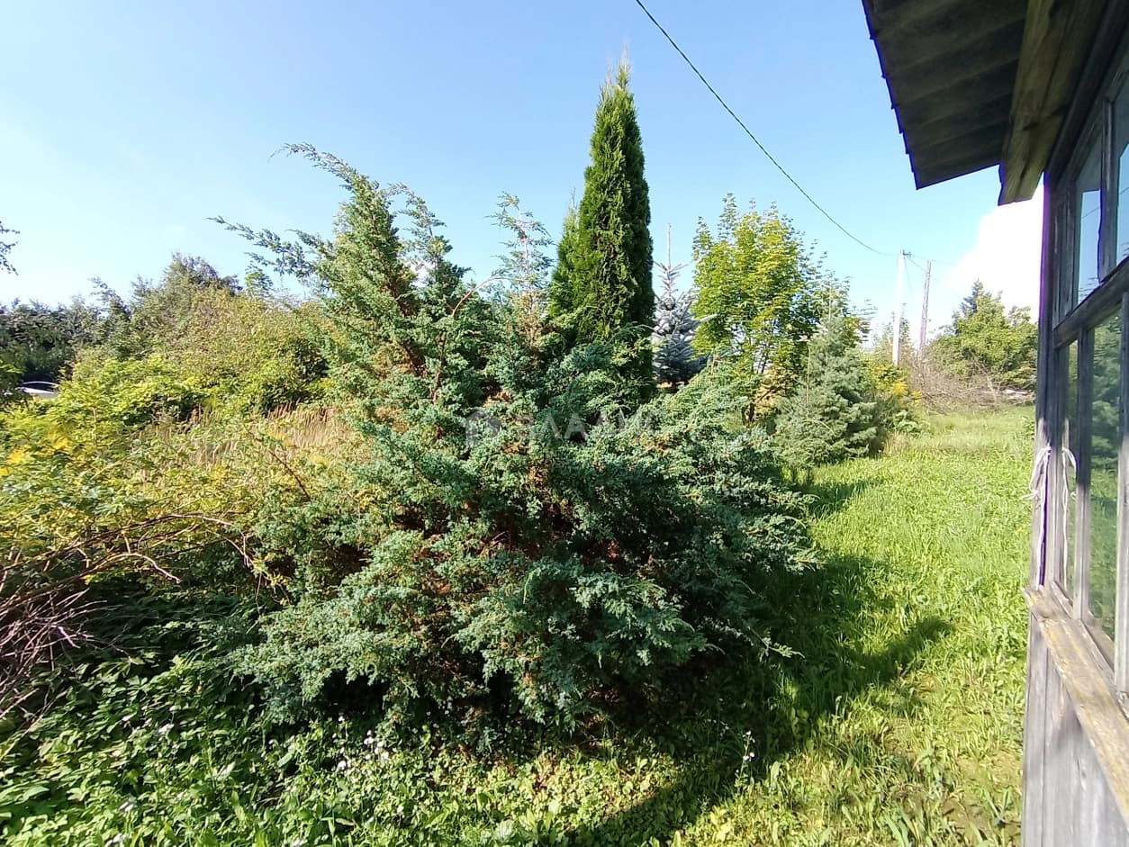 Photo 39