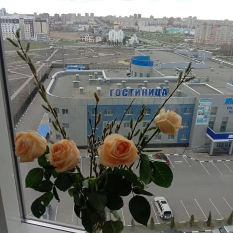 Купить студию до 8 млн в Белгородской области. Вариант № 2087815, 1, площадь - квм, цена 5300000 рублей