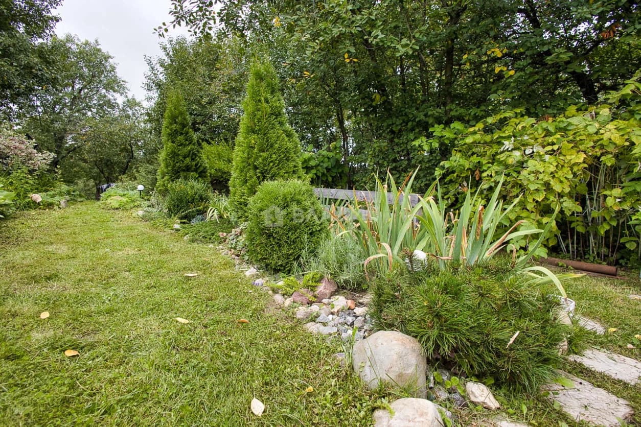 Photo 25