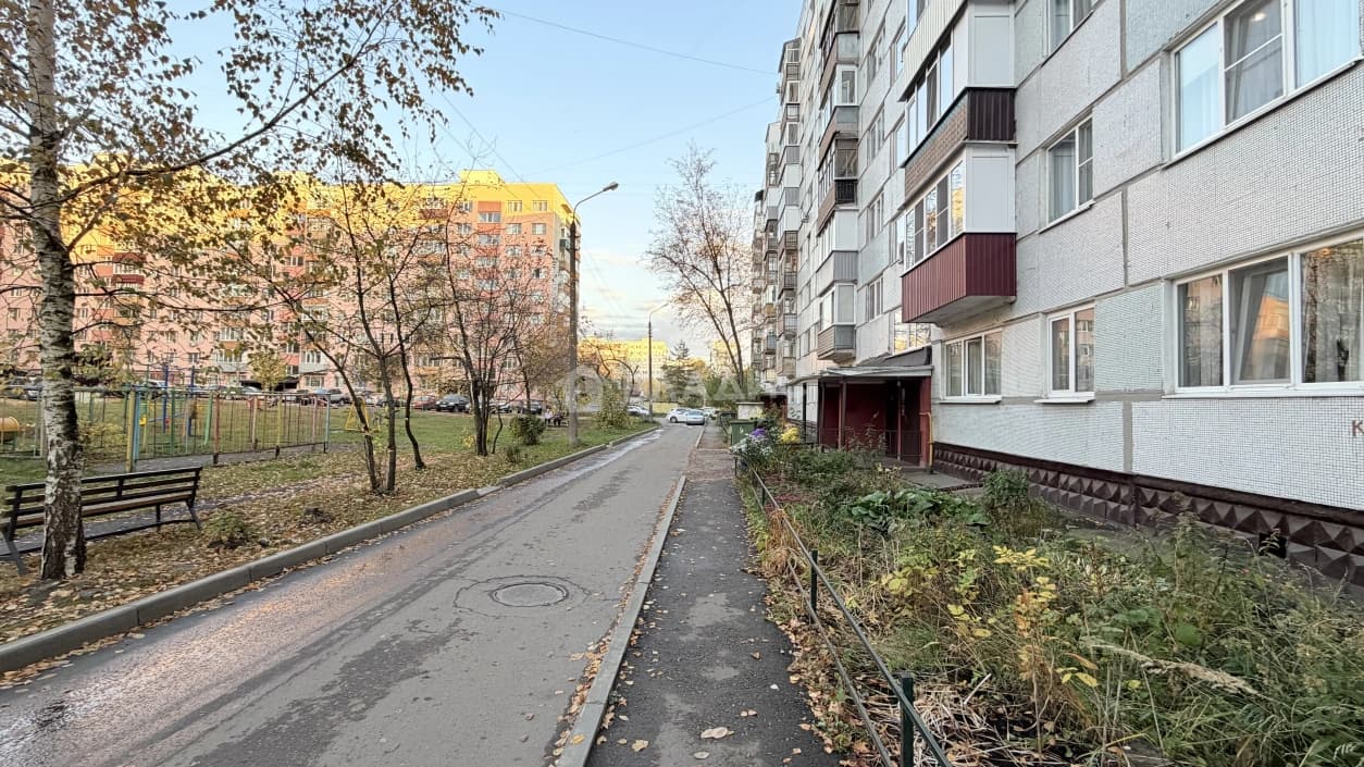 Photo 23