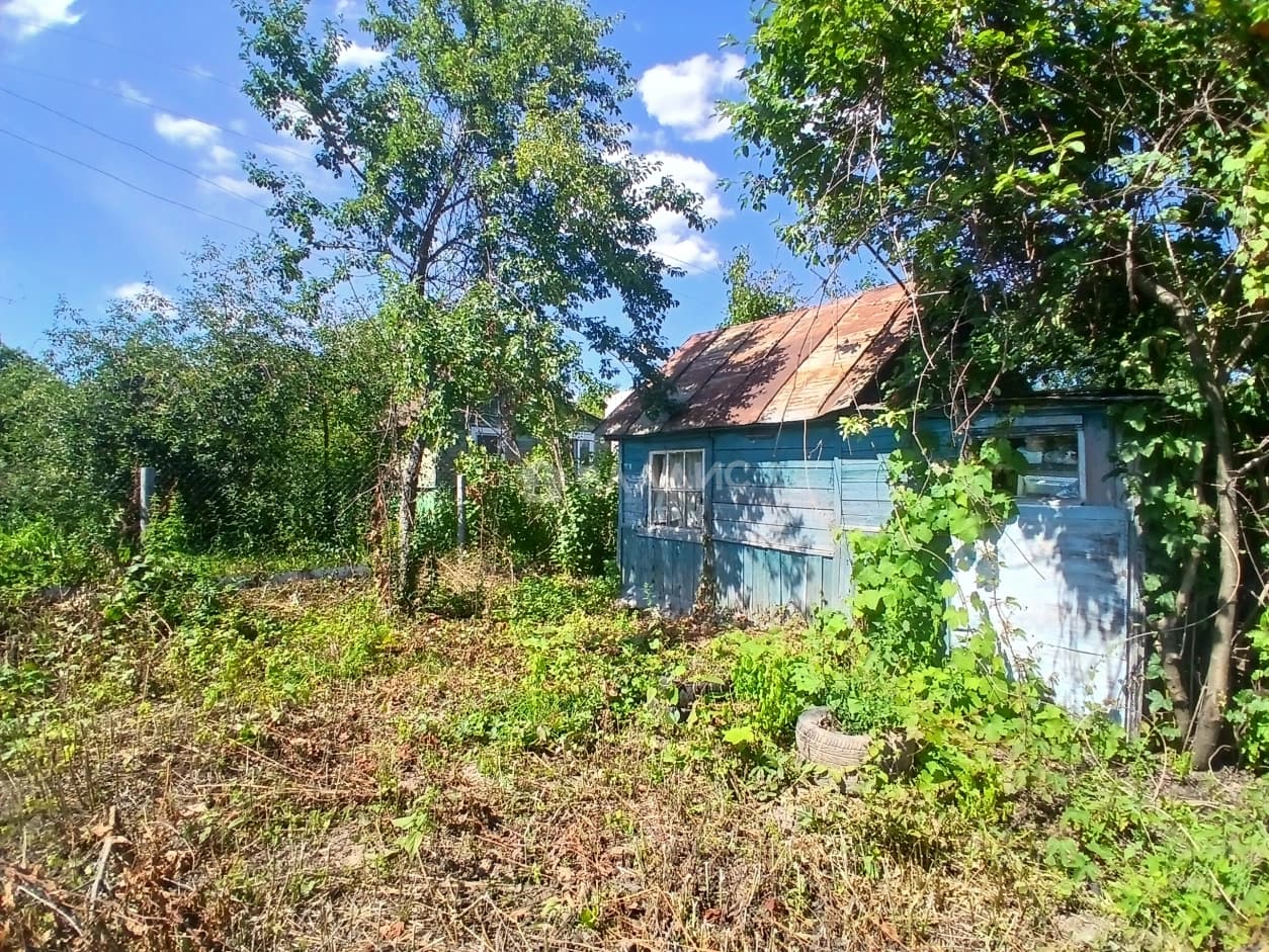 Photo 12